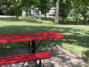 Red handicapped-accessible picnic table with trees and disc golf target in the backgroud.