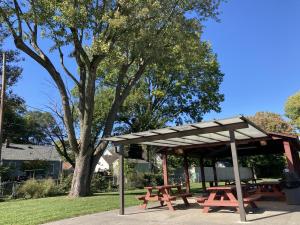 Picnic tables in a shelter house with a large tree above to the left.