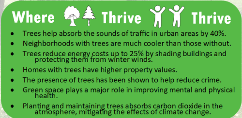  Where trees thrive, people thrive. Trees help absorb the sounds of traffic in urban areas by 40%. Neighborhoods with trees are much cooler than those without. Trees reduce energy costs up to 25% by shading buildings and protecting them from winter winds. Homes with trees have higher property values. The presence of trees has been shown to help reduce crime. Green space plays a major role in improving mental and physical health. Planting and maintaining trees absorbs carbon dioxide in the atmosphere, mitigating the effects of climate change.