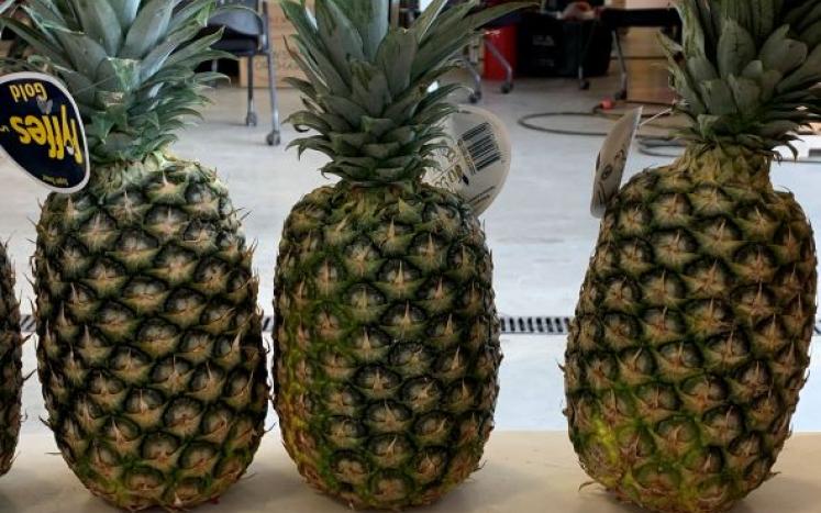 Photo of three pineapples.